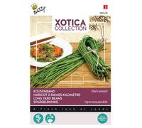 Graines de haricot asperge Buzzy Xotica Metro Nero - Environ 10 gr | Buzzy_080428