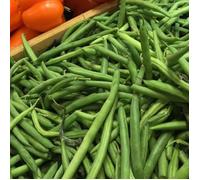 Graines de Haricot grimpant vert sans fil Blanc de Juillet - Vilmorin
