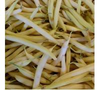 Graines de Haricot Nain Beurre De Rocquencourt - Vilmorin