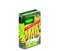 Graines de Haricot nain beurre GOUSSDOR +20g gratuit