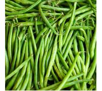Graines de Haricot Nain mangetout Delinel - Vilmorin
