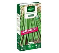 Graines de Haricot nain sans fil SKIPPER-