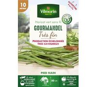 Graines de Haricot nain vert Gourmandel - 10 mètres
