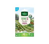 Vilmorin - Graines de Haricot Nain Vert Oxinel 2-5 metres