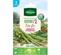Graines de Haricot Nain Vert Oxinel 2 - 5 metres-