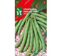 Graines de haricot vert Prelude - Environ 50 gr | VT_168