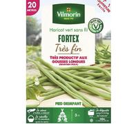Vilmorin Haricot Fortex Mangetout boite série 20m