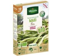 Graines de Haricot vert sans fil MAXI 10 mètres-