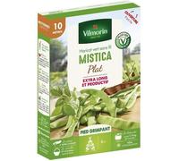 Graines de Haricot vert sans fil MISTICA plat - 10 mètres - vilmorin-