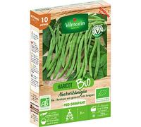 Graines de Haricot vert sans fil NECKARKÖNIGIN BIO 10 mètres