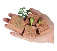 Graines De Haricots Verts Pour Enfants, Simulation Du Cycle De Vie, Modèle De Croissance De Plantes, Jouets Figurines D'action, Éducation Scientifique