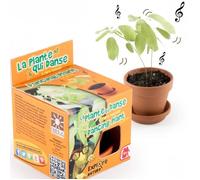 Radis et Capucine - Pot avec coupelle - Plante qui danse - 8 cm