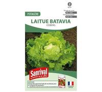 Graines de laitue Batavia Iceberg