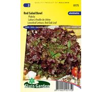 Graines de laitue feuille de chêne Red Salad Bowl - Laitue & laitue romaine - Env. 2,5 g | SG0175