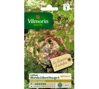 Graines De Laitue Variété "Batavia Blonde À Bord Rouge 5" Vilmorin Semis De Février À Juillet