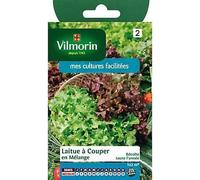 Graines De Laitue Variété "Bowl Verte Et Rouge" Vilmorin Semis Toute L'année