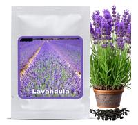 Graines de Lavande Vraie (Lavandula angustifolia) env. 150 Pcs - Semences Rustiques Vivaces - Graine Parfumée pour Jardin et Abeilles
