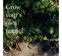 Graines De Légumes: 12 Anciennes Variétés De Graines De Légumes Éprouvées Pour Le Jardin, Le Potager Surélevé Ou Le Balcon - Presque Oubliées & Délicieuses - Kit De Graines Pour Débutants En Guise De