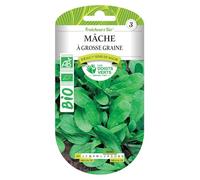Graines de mâche à grosse graine BIO Les Doigts Verts