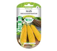 Graines de maïs doux Les Doigts Verts Golden Bantam BIO
