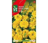Graines de mandarine Low Yellow - Environ 1 gr | VT_868