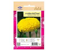 Graines de Marigold Honey Gold à Semer - Tagète Dorée - Fleur pour Buddha et Offrande Bouddhiste - 10 graines - CHIA TAI (Home Garden) - Import Thaïlande - Jardin ou Temple