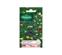 vilmorin gazon japonais