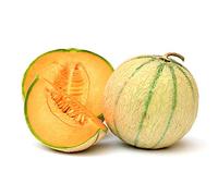 graines de melon cantaloup charantais 2.5g