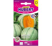 Graines de Melon Charentais - Sachet de 25 graines - Fruits ronds parfumés - Chair ferme et savoureuse