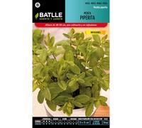 Graines De Menthe Poivrée