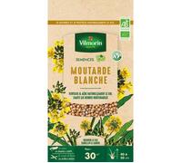 Graines de Moutarde blanche BIO , boite de 60 grs-