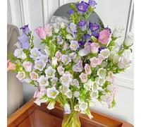 Graines de muguet, fleurs parfumées et rustiques, fleurissant toute l'année, plantes vivaces, adaptées aux plantes en pot, à l'intérieur et à l'extérieur
