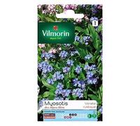 Graines De Myosotis Des Alpes Bleu Vilmorin