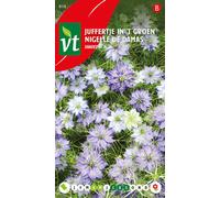 Graines de Nigelle De Damas Indigo Et Light Blue Mix - Environ 1 gr | VT_818