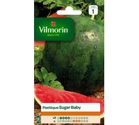 Graines De Pastèque Sugar Baby Vilmorin
