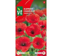 Graines de pavot rouge - Environ 0,75 gr | VT_821