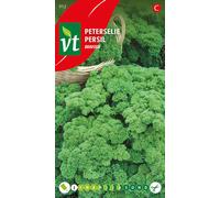 Graines de persil Bravour - Env. 5 gr | VT_912