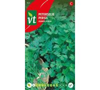 Graines de persil Giganta D'Italia - Env. 4 gr | VT_964