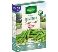 Graines De Petit Pois Variété "Kelmerveil" Vilmorin Semis De Mars À Juin