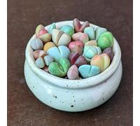 Graines de Pierres Précieuses Vivantes - Sunnyplants, Mesembs Mélange de Graines, Graines de Lithops, Graines de Roche Vivante, Graines Lithop, Graines de Pierres Vivantes, Lithops (100)