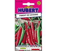Graines de Piment de Cayenne - Sachet de 1 g - Environ 150 graines - Saveur brûlante - Fruit 8-10 cm