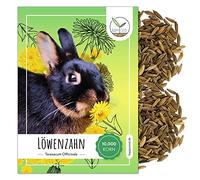 Graines de pissenlit pour lapins et complément alimentaire d'herbes sauvages optimales pour lapins, cochons d'Inde et tortues (10 000 graines)