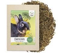 Graines de Pissenlit pour Les Lapins - Graines d'herbes Sauvages comme complément Alimentaire Optimal pour Les Lapins, Les cobayes et Les Tortues terrestres (100.000 Graines)