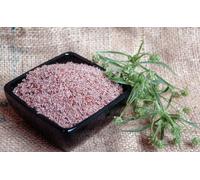 Graines de Plantago Ovata 1 Kg