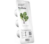 Graines de plantes Capsule de substrat pour le Click & ; Grow en intérieur - Smart Garden - Set de 3 choux rouges G