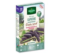 Graines de Pois à Rames Capucine ( Blauwshokker ) - 20 mètres-