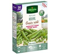 Graines de Pois nain à grain ridé Kelvil - 20 mètres