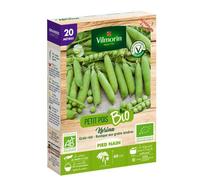 Graines de Pois rnain à grain ridé Karina BIO - 20 mètres-