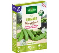 Graines De Pois Variété "Normand" Vilmorin Semis De Février À Avril Et D'octobre À Novembre