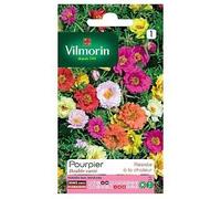 Graines De Pourpier Grande Fleur Double Varié Vilmorin